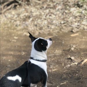 Meet your Posher, Julia